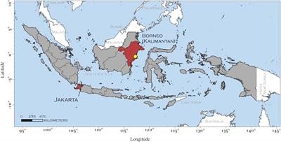 Perspective: Climate Change and the Relocation of Indonesia’s Capital to Borneo